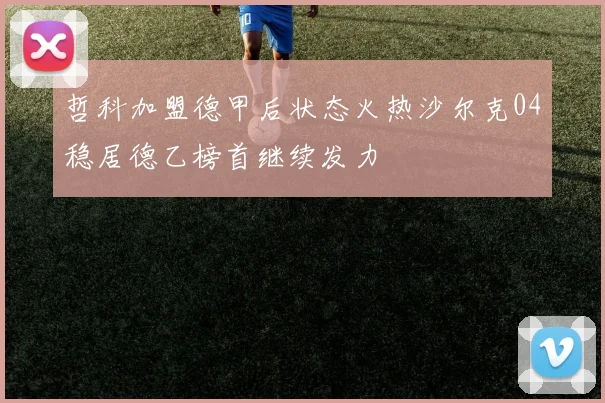 哲科加盟德甲后状态火热沙尔克04稳居德乙榜首继续发力
